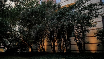 Charleston Condos